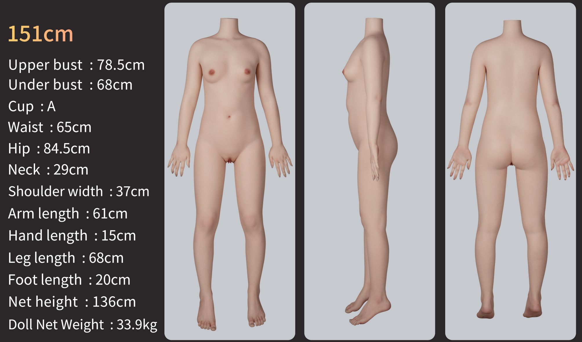 guide-zelex-body-zg151a