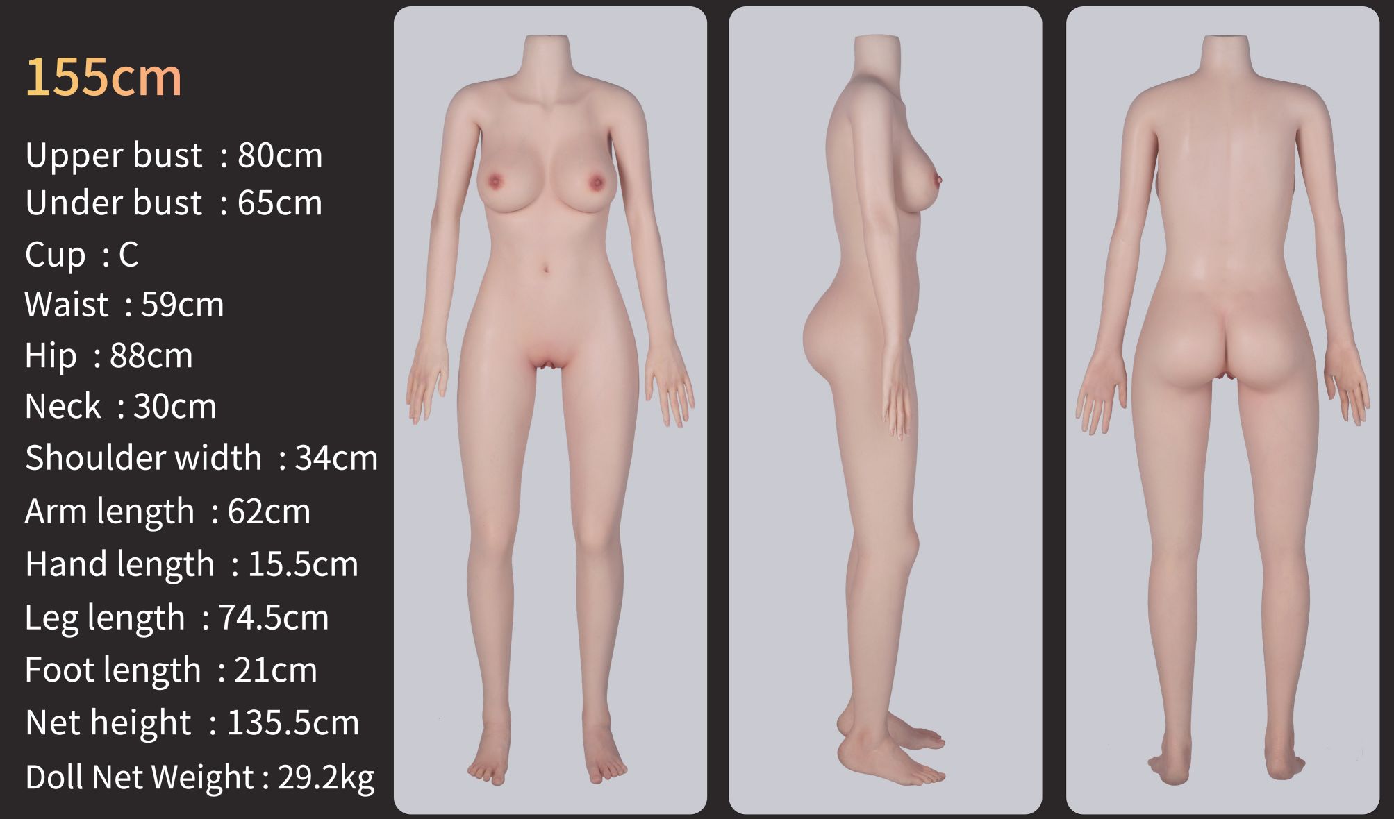 guide-zelex-body-zg155c