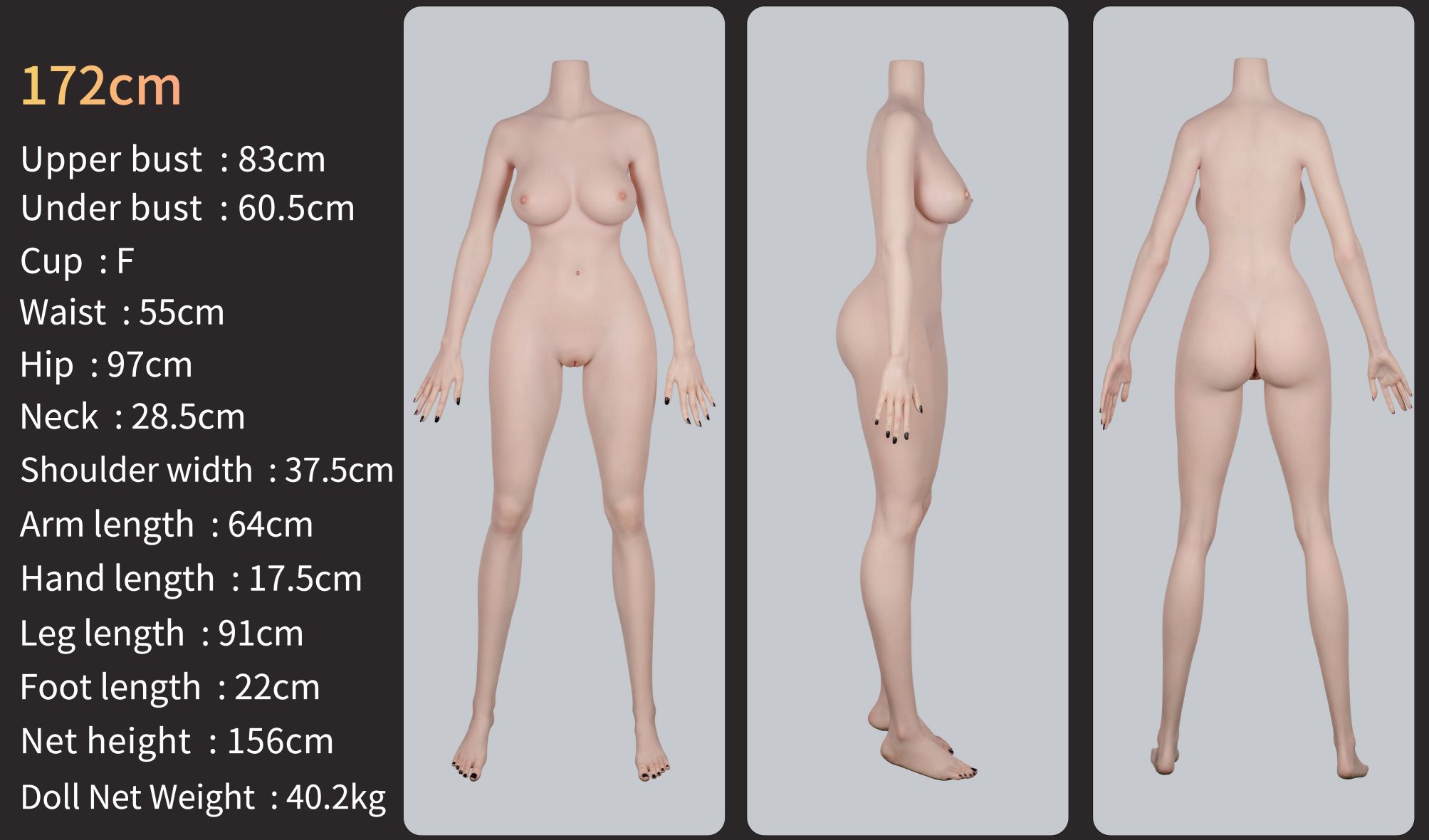 guide-zelex-body-zg172f